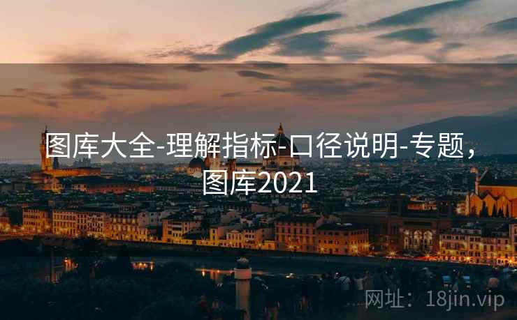 图库大全-理解指标-口径说明-专题,图库2021 图库大全-理解指标-口径说明-专题,图库2021